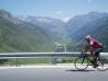 Björn am Furka Pass, im Hintergrund Realp Björn am Furka