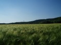 oberhalb von Gladbach, 13. Juli '06 oberhalb von Gladbach