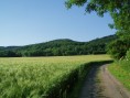 oberhalb von Gladbach, 13. Juli '06 oberhalb von Gladbach